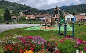 Appartement chaleureux au cœur des Hautes Vosges